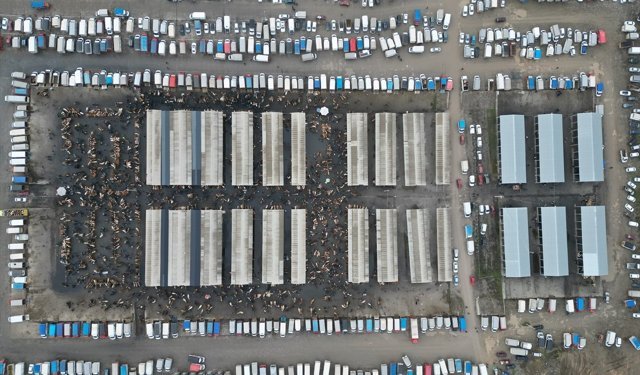 Sivas'taki canlı hayvan pazarında yoğunluk yaşanıyor