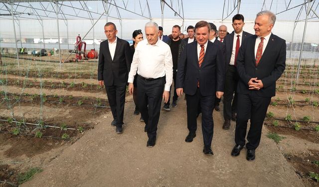 TDT Aksakallar Konseyi Başkanı Yıldırım, Erzincan'daki Toplu Sera Bölgesi'nde incelemelerde bulundu