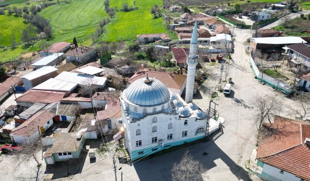 Tekirdağ'da leylekler 11 yıldır cami kubbesine yuva yapıyor