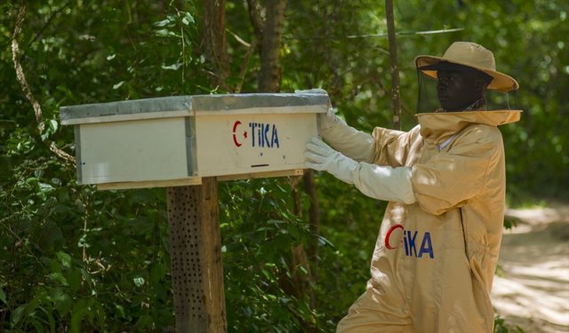 TİKA, Tanzanya'da arıcılık sektörünü geliştirmeye yönelik projeyi hayata geçirdi