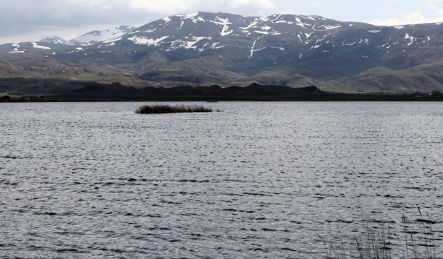 Ulaş Gölü'nde doluluk oranı zirveye ulaştı
