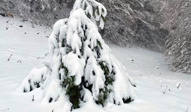 Amasya'nın yüksek kesimlerine kar yağdı