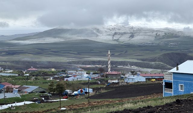 Ardahan'da kar etkili oldu