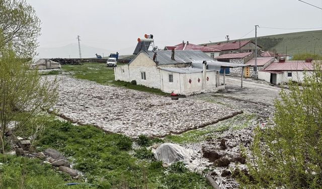 Ardahan'da sağanak ve dolu etkili oldu