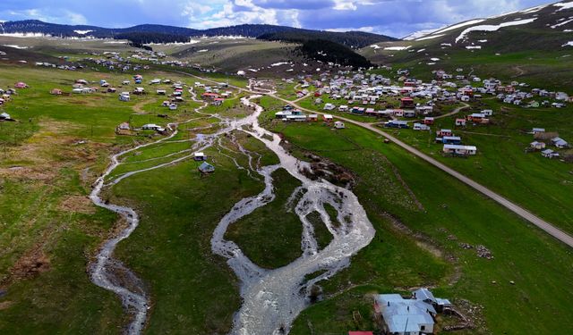 Ardahan'ın yaylaları baharla canlanmaya başladı