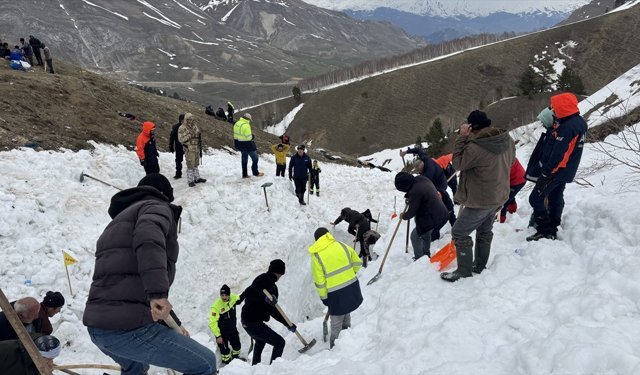 Artvin'de çığ altında kalan çobanı arama çalışmaları sürüyor