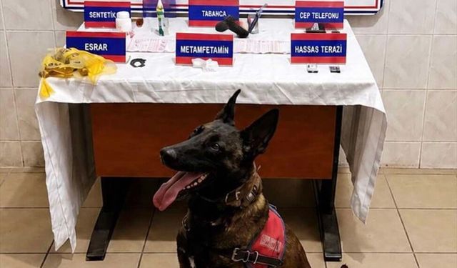 Aydın'da uyuşturucu operasyonunda yakalanan şüpheli tutuklandı