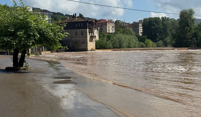 Bartın Irmağı'nda su seviyesinin yükselmesi kısmi taşkına neden oldu