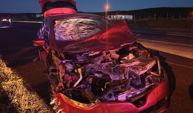 Bingöl'de ineğe çarpan otomobildeki 1 kişi yaralandı
