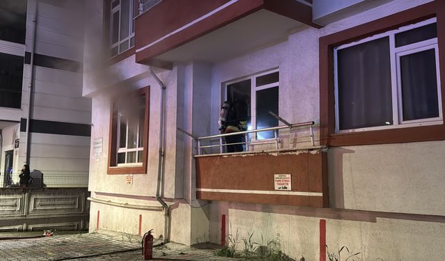 Bolu'da itfaiyenin yaşatmak için seferber olduğu kedi kurtarılamadı