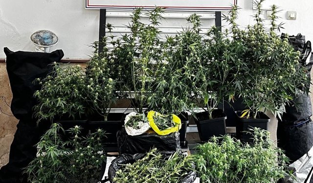 Bursa'da uyuşturucu operasyonunda yakalanan zanlı tutuklandı