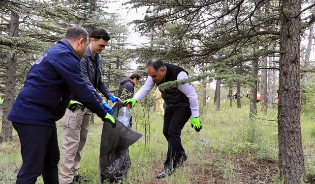 Çankırı'da 'Orman Benim' etkinliği düzenlendi