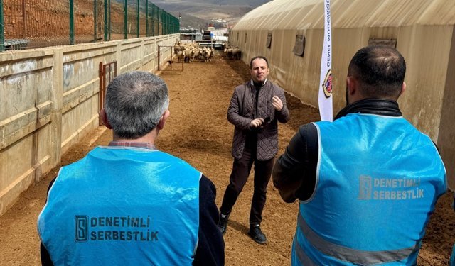 Çiftlikte kursa katılan yükümlüler küçükbaş hayvan yetiştiriciliğinin detaylarını öğreniyor
