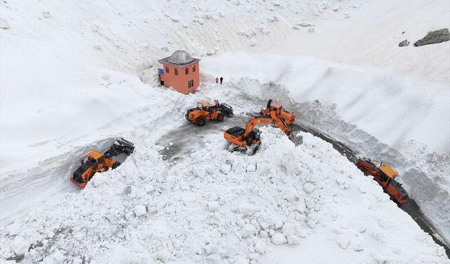 Çığ riski nedeniyle uzun süredir kapalı olan Van-Bahçesaray yolu kardan temizlendi