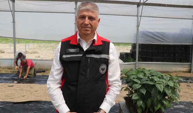 Çukurova'nın verimli topraklarında kahve de yetiştirilecek
