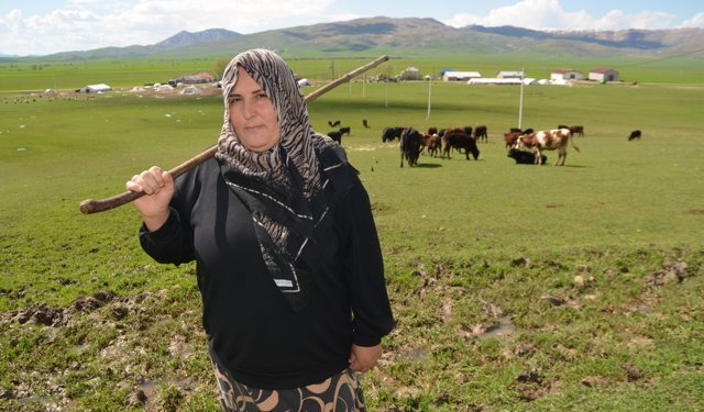 Devlet desteğiyle besiciliğe başlayan Muşlu kadın, hayvan sayısını artırmak istiyor