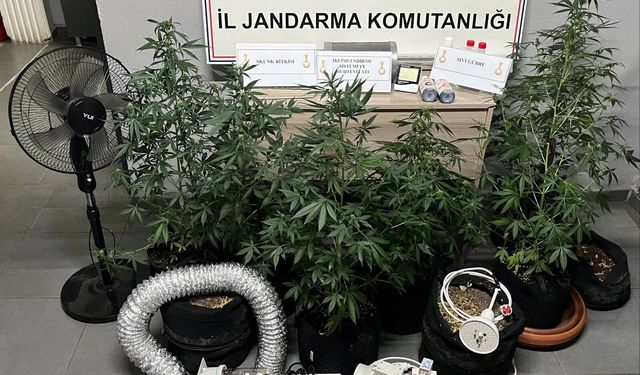 Düzce'de evine uyuşturucu yetiştirmek için düzenek kuran şüpheli yakalandı