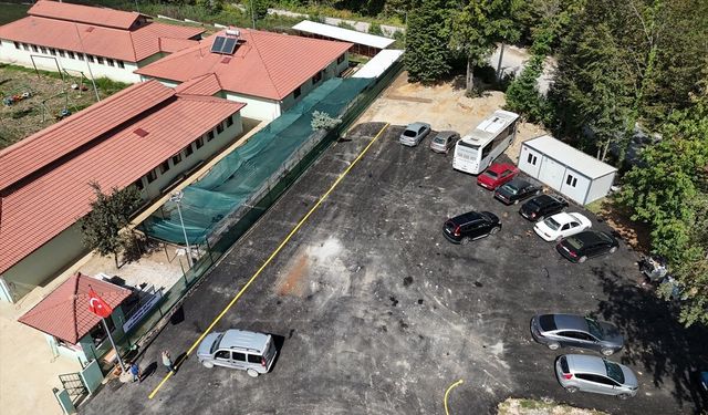 Düzce'deki iki bakımevi sahipsiz hayvanlara yuva oluyor