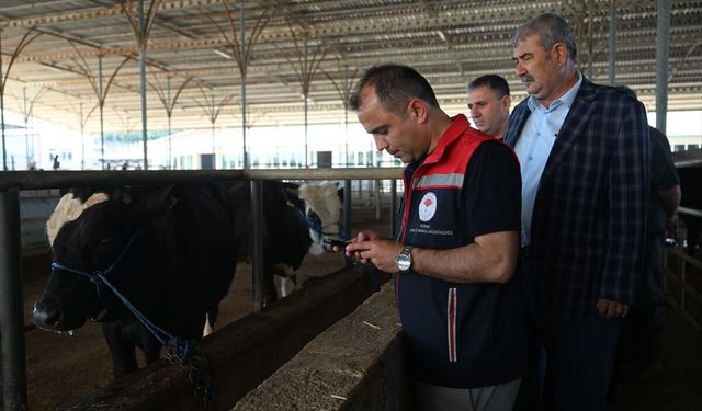 Edirne'de kurbanlık satış alanları denetlendi