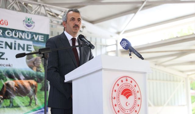 Edirne'de meralar yüksek verim hedefiyle ıslah ediliyor
