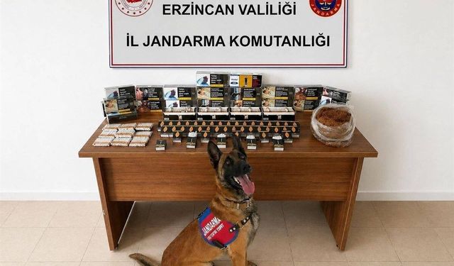 Erzincan'da DEAŞ ve narkotik operasyonlarında 18 zanlı tutuklandı