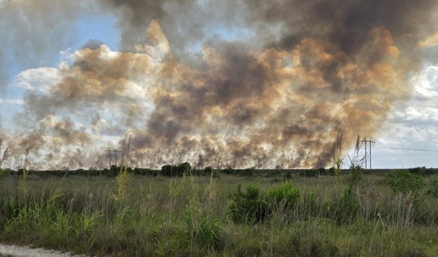 Florida'daki orman yangınlarını söndürme ve kontrol altına alma çalışmaları sürüyor
