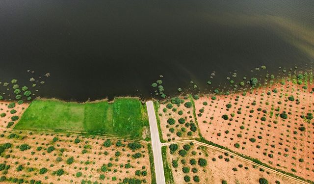 Gaziantep'te baraj seviyesi yükselince fıstık bahçesi su altında kaldı