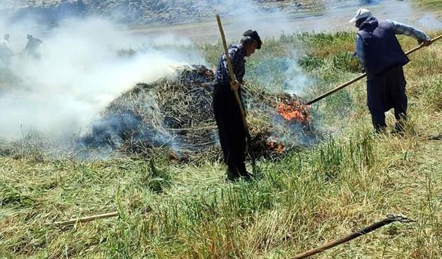 Gaziantep'te coğrafi işaretli 'firik' üretimi başladı