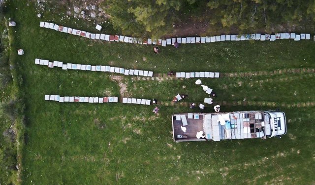 Gezginci arıcıların yayla yolculuğu başladı