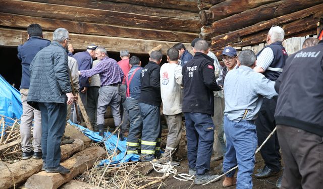GÜNCELLEME - Kastamonu'da çöken ahırın enkazı altında kalan kadın öldü