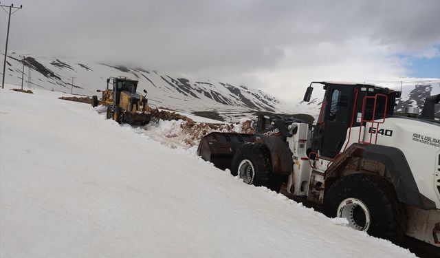 Iğdır'ın yüksek kesimlerinde karla mücadele çalışmaları sürüyor