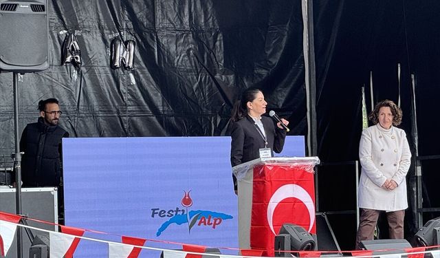 İsviçre ve Fransa'da yaşayan binlerce Türk vatandaşı festivalde buluştu