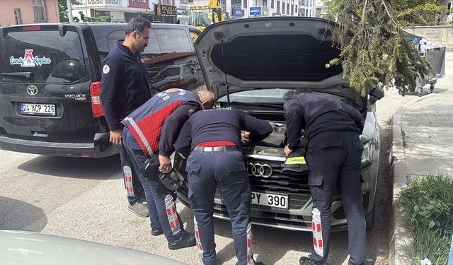 İtfaiyenin kurtarmaya çalıştığı kedi yavrusunu annesi uzaklaştırdı