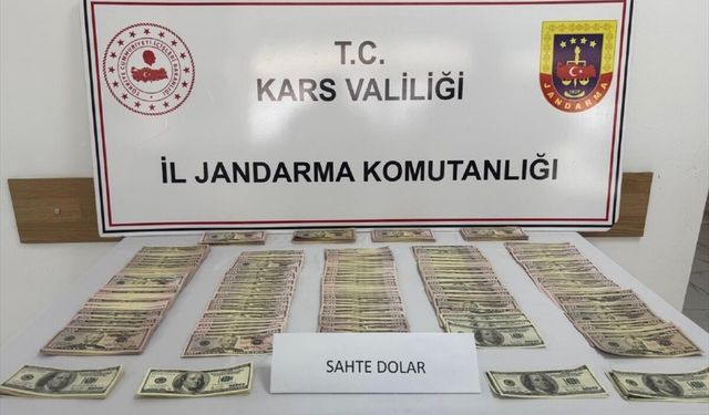 Kars'ta Kurban Bayramı öncesi sahte 51 bin 400 dolar ele geçirildi