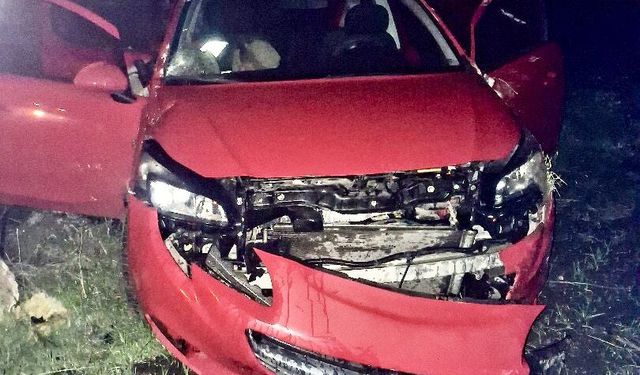 Kars'ta şarampole devrilen otomobildeki 5 kişi yaralandı