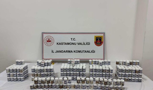 Kastamonu merkezli uyuşturucu operasyonlarında yakalanan 16 kişi tutuklandı