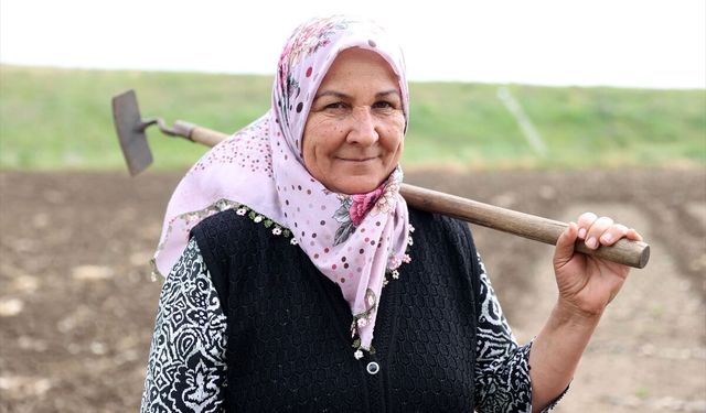 Kırklareli'nde çiftçi kadınlar üretimin yükünü omuzluyor