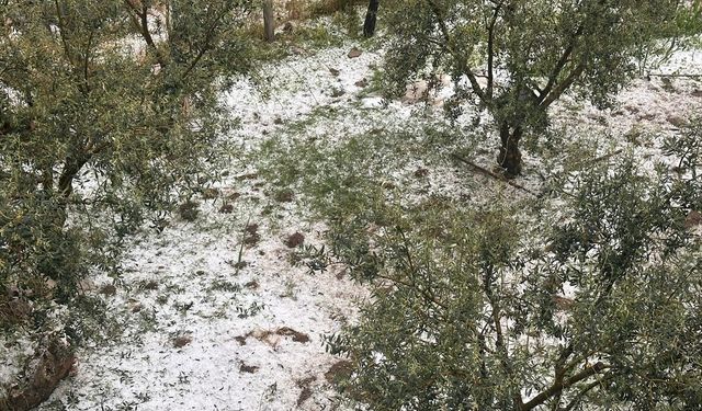Manisa'da şiddetli sağanak ve dolu hayatı olumsuz etkiledi