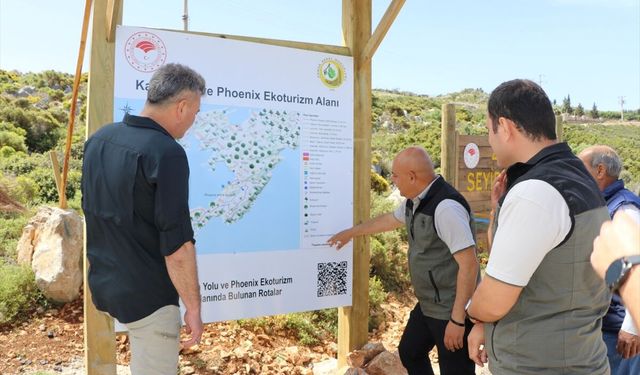 Marmaris'te 'Karia Yolu ve Phoenix Ekoturizm Alanı' kuruluyor