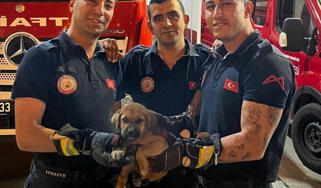 Mersin'de otomobilin motor kısmına sıkışan köpek yavrusunu itfaiye kurtardı