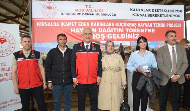 Muş'ta 170 kadın çiftçiye 3 bin 400 küçükbaş hayvan dağıtılmaya başlandı