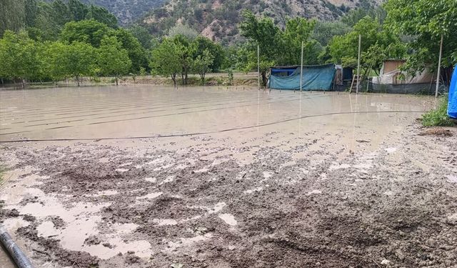 Nallıhan'da sağanağın ardından çayın taşması sonucu bazı bahçeleri su bastı