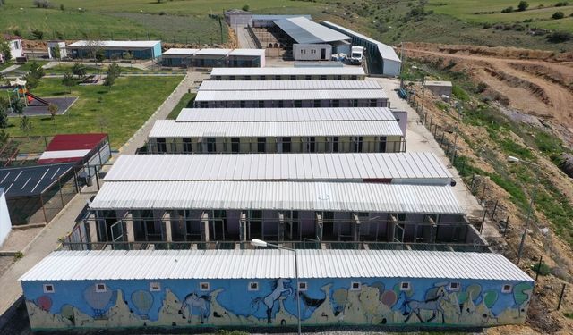 Nevşehir'deki 'hayvan kasabası'nda bu yıl 150 köpek sahiplendirildi