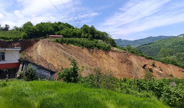 Ordu'da fındık bahçesinde heyelan meydana geldi