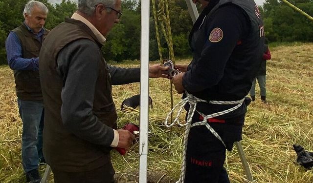 Osmaniye'de su kuyusuna düşen tilkiyi itfaiye ekibi çıkardı