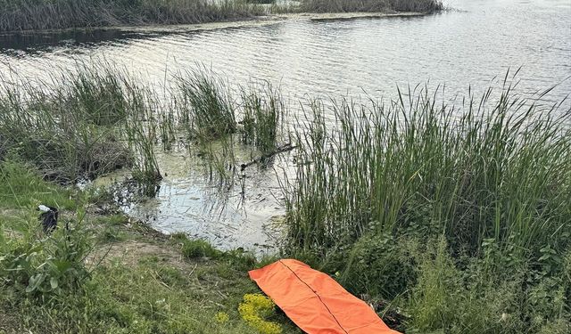 Sakarya'da gölette kadın cesedi bulundu