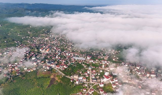Sakarya'da sis bulutu etkili oldu