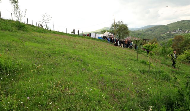 Samsun'da '3. Salep Uygulamalı Hasat Eğitimi ve Tanıtım Etkinliği' düzenlendi