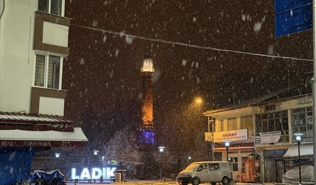 Samsun'un Ladik ilçesinde kar yağışı etkili oldu