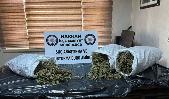 Şanlıurfa'da 8 kilo 240 gram esrar ele geçirildi